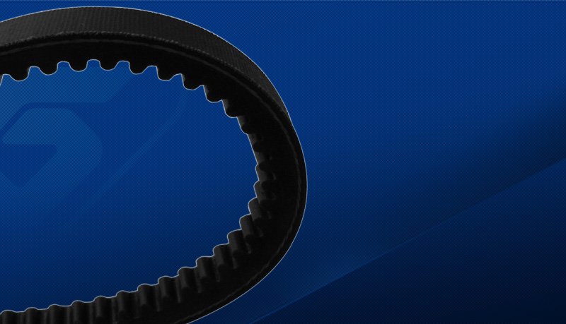 Cinghia trapezoidale