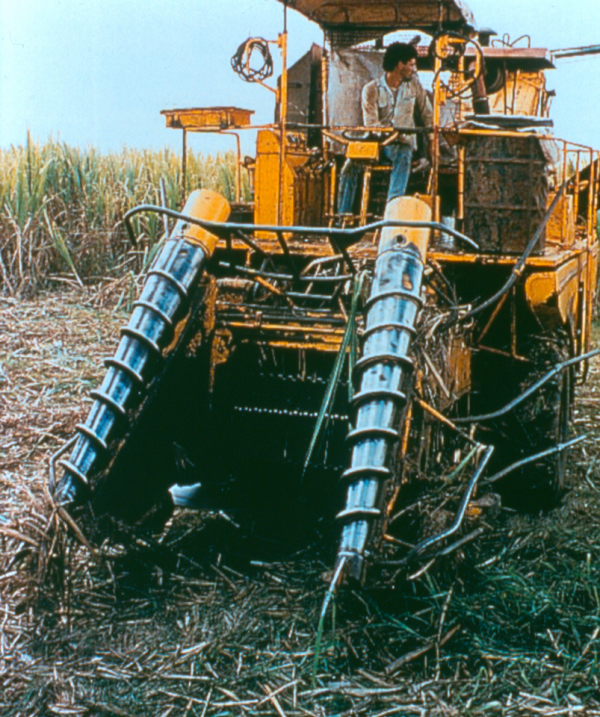 Sugar Cane Harverster ribbed belts