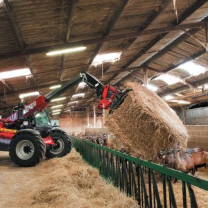 Sollevatori telescopici