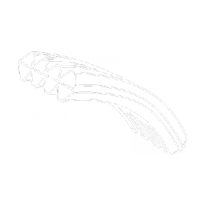 POLY V doppia dentatura